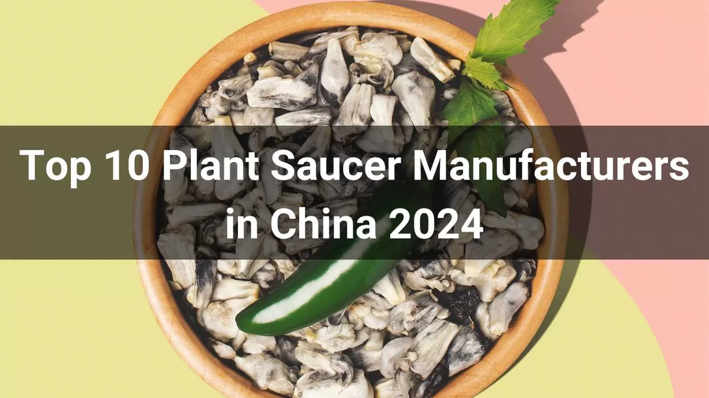 Plant Saucer Manufacturers in China